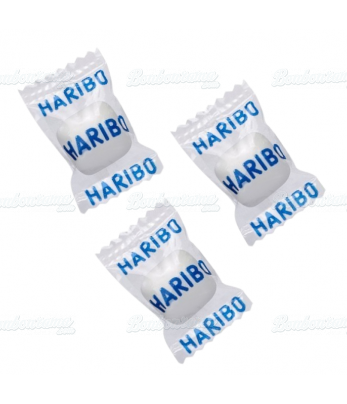 Tous les Bonbons Haribo en Sachet de 100 120gr à Prix Grossiste