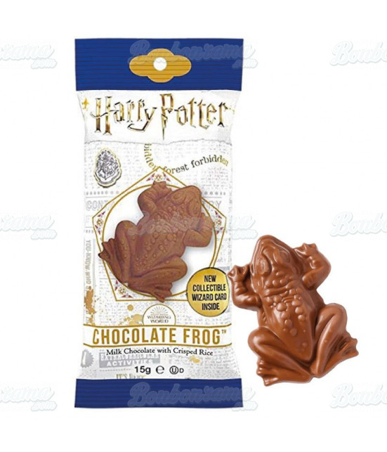 Harry Potter chocolate fudge in large packaging